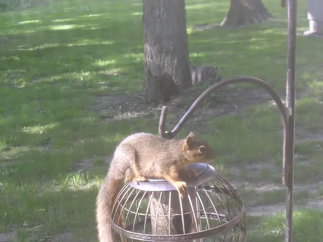 Funds of ten million euros have been allotted to the initiative by the Commission.