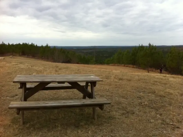 Court Clears Two Senior Lawyers in Search for P&H High Court Bench by State Bar Council