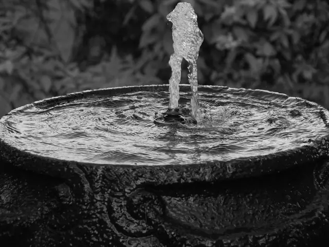 Castilla y León aims to purify all wastewater within a six-year span