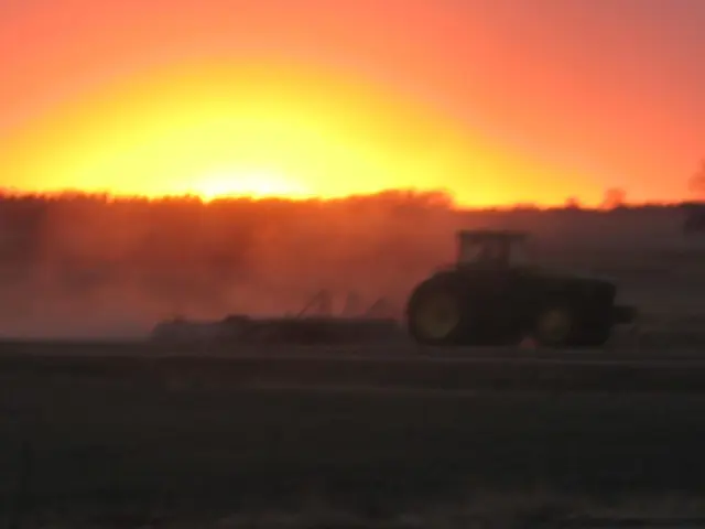 'A company asserts that there's no weed immune to laser damage, using multiple Nvidia GPUs to burn...