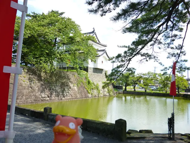 Enjoyment Options Abundant in Fayetteville, AR: Check Out These 10 Cost-Free Activities!