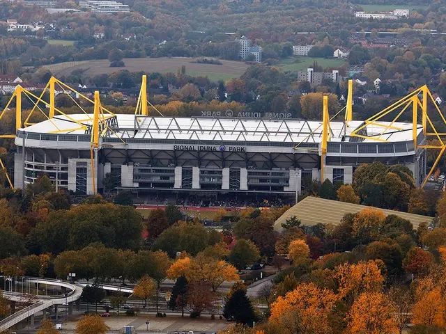 Environmental enforcers advocate for judicial action against alleged criminal networks exploiting...