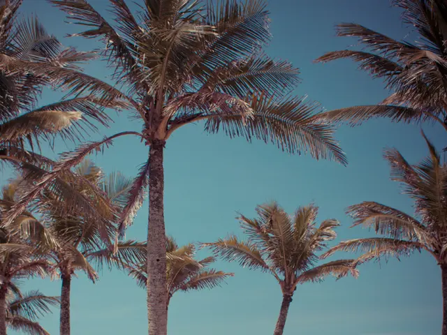 Beach cleaning volunteers expand with addition of lottery winners for community-led environmental...