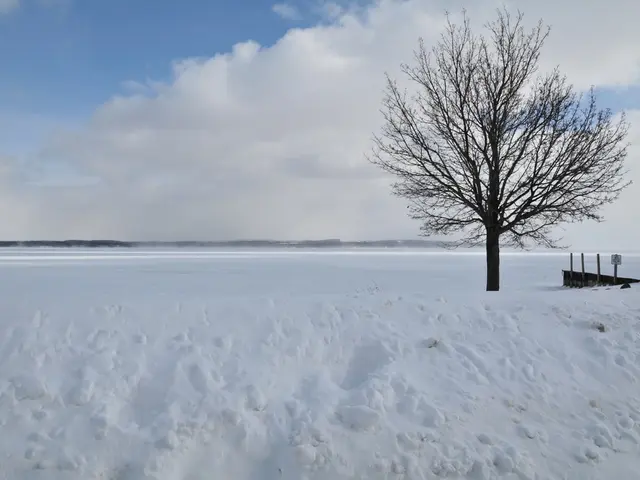 Severe weather forecasted for Thursday