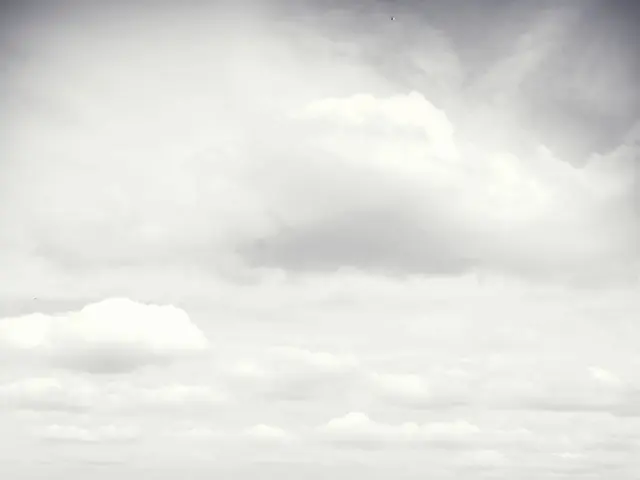 Stunning Caribbean beach boasting golden sands and turquoise waters declared among most exquisite...