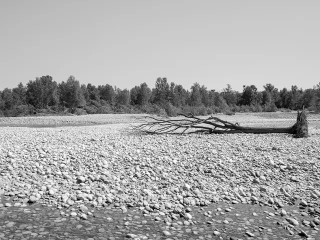 Autumn festival in upstate New York provides an opportunity to traverse 60-foot-tall geological...