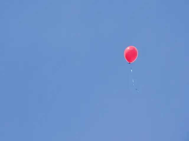 Formation Process and Atmospheric Insights of the Aurora Borealis