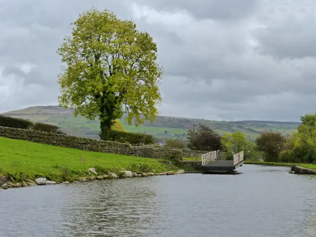 The Factors Influencing Wind Movement and Methods of its Quantification