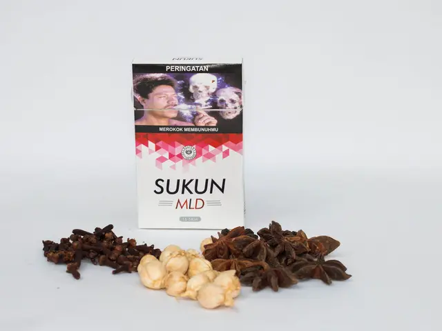 Benefits to Health: Discovering Eight Advantages of Using Oregano