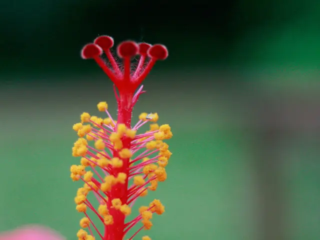 Suffering from constant exhaustion? It could potentially be Allergy Exhaustion