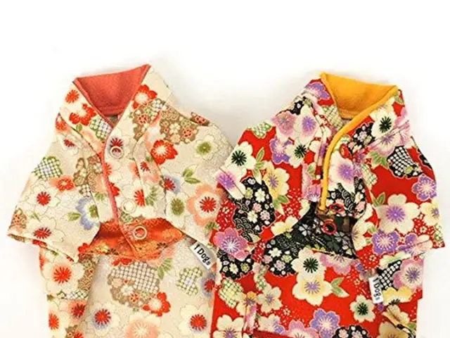 Selena Gomez shares images from her bachelorette celebration in Cabo San Lucas!