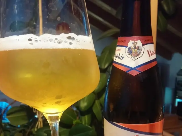 Decrease in Wine Production in Alentejo Reaches Minimum 20 Percent