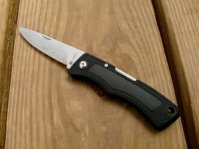 "Dundee's Sophie under scrutiny as internet right-wing propeller spins falsehoods"