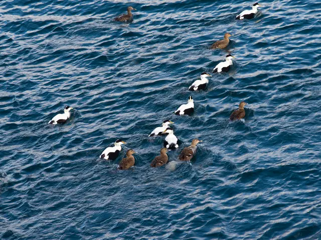 Soaring temperatures lead to avian fatalities in Tamaulipas