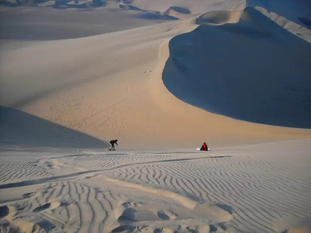 UAE President expresses sympathies to Kuwait's Emir following the death of a family member.