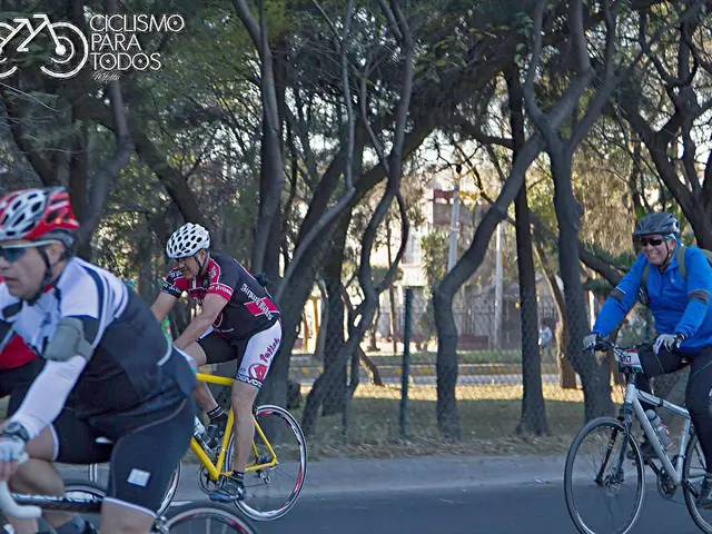 Village residents in Schopfheim detain alleged bicycle thieves until local authorities arrive on...