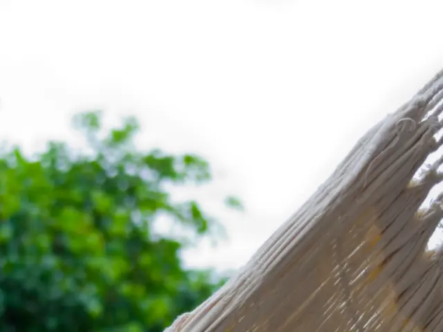 Relaxing Hammocks Perfect for Spending Long Hours on Sunny Afternoons