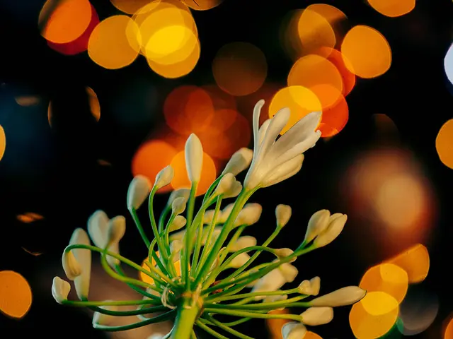 Scientists in China Successfully Develop Bioluminescent Plants with Vibrant Colors that Illuminate...