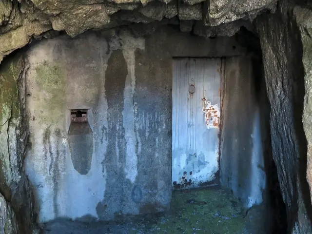 Rangers Discover Ancient Rock Art in Unseen Cave During Jungle Patrols in Northern Thailand, Dating...