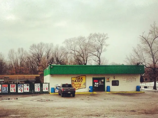 High-priced Blockbuster Film Produced by Netflix Rakes in $230 Million Revenue