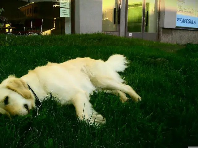 Upcoming primary tax deadline is set for August 15, 2025