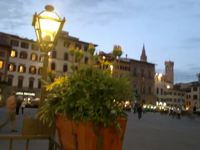 Anticipation or Awaiting Events