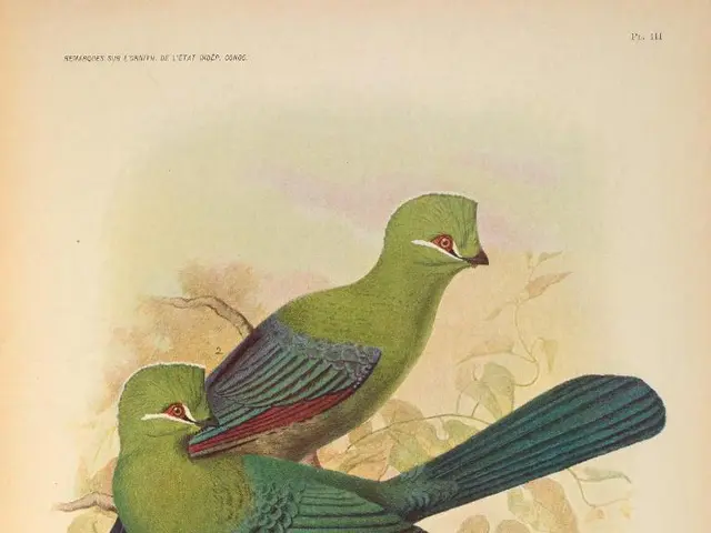 Beth's Tale (Part 1)