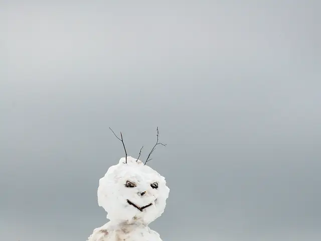 Title: The Frost Fella