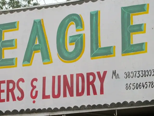 Growth of Wealth: Unveiling the Mystery of the Financial Arbor