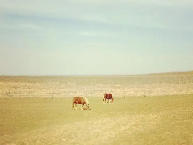 Airborne speakers playing AC/DC tunes serve as wolf deterrents for livestock protection by...