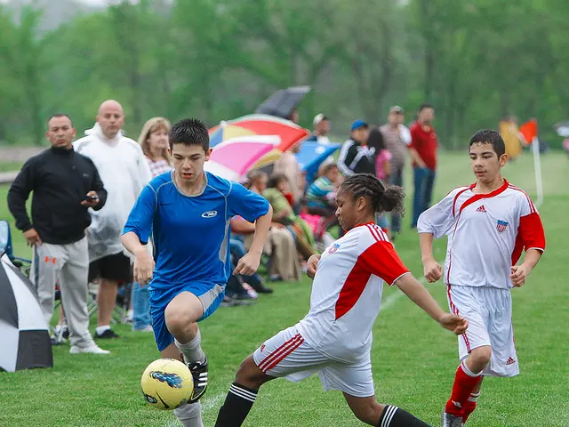 Semi-final matchup in the ELF's dream: