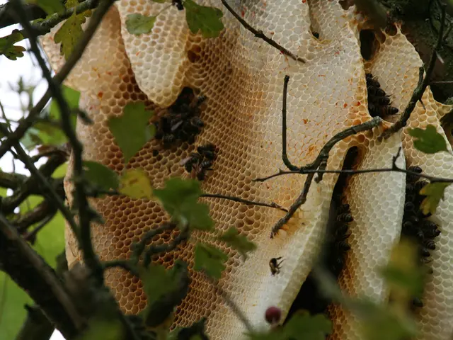 Exploring Munich's district: immerse in the buzz and chirping along the nature trail at Haar