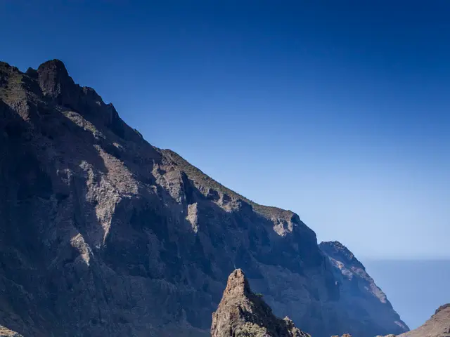 Digital Version of Los Cerritos Community News, Published on August 29, 2025