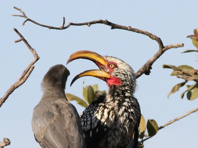 Car Owner Encountering Odd Issue: 2024 GMC Sierra Suddenly Dispenses Windshield Washer Fluid Upon...