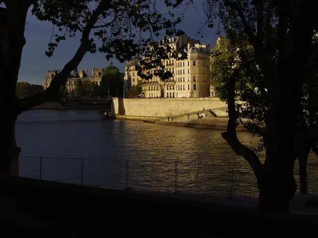 Revitalizing Aquatic Ecosystem for Various Fish Species in New York's Salmon River for Thriving...