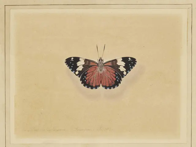 Border restrictions implemented by Poland towards Germany