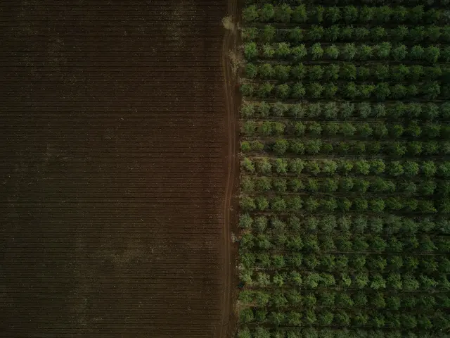 Agricultural Land Values and Lease Rates in Western Ohio for the Years 2016-2017