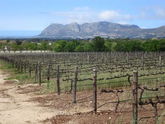 Farmland Property Values and Lease Rates in Western Ohio for the Years 2014-2015