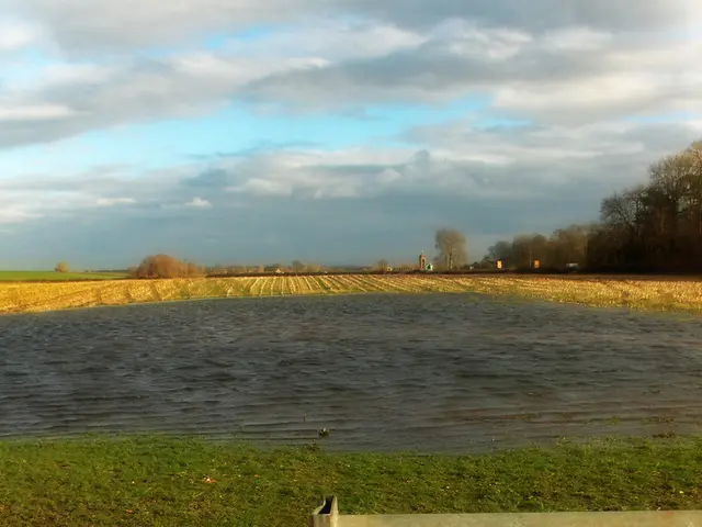 Struggling Landscapes Yielding Minimal Agricultural Benefits