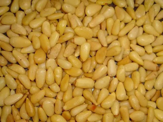 Formulating Optimal Phosphorus and Potassium Guidelines for Agricultural Crops in Fields