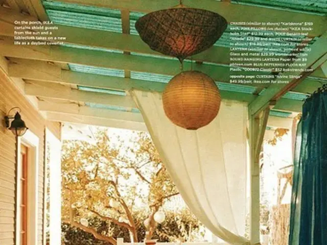 City trees transforming: Urban wheat and timber coming from recycled lumber