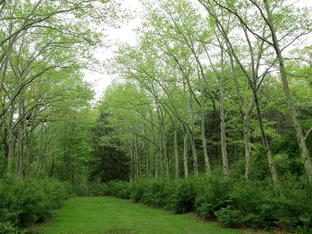 Narrating a tale of renewal and ecological restoration