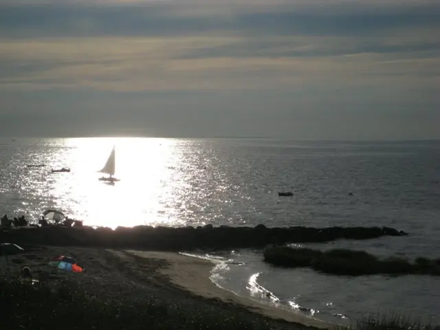Reused Plastic Pots Crafted from Recaptured Fishing Nets: A Look at Their History