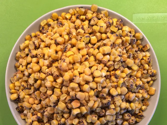 Best Time for Corn Planting in Alabama: Essential Insights and Recommendations