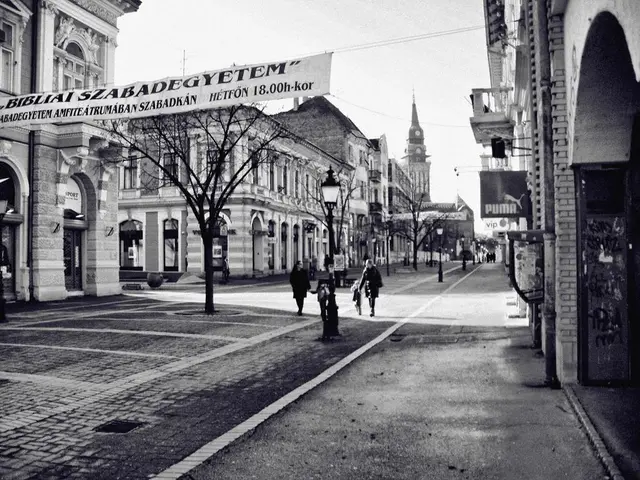 Municipal administrations or local governments