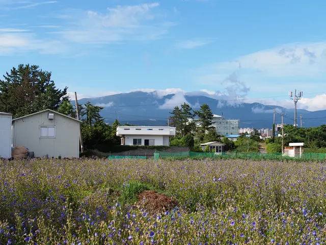 Blossoming hope in Spanish community: a model for Europe and the globe