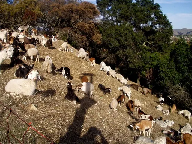 Almost done: Terraria's 1.4.5 update nears completion, creators announce they're in the final...