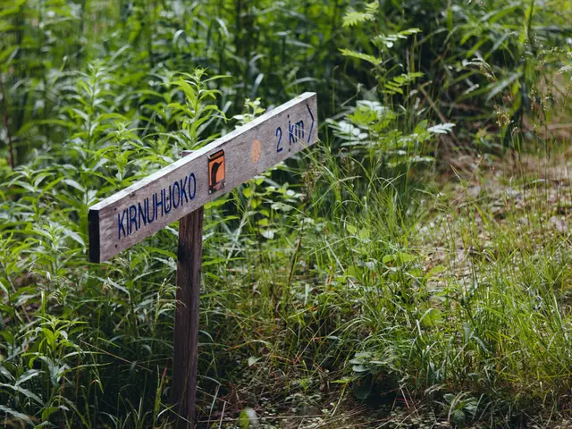 Redeem Gardening Codes and Steps for Successful Activation