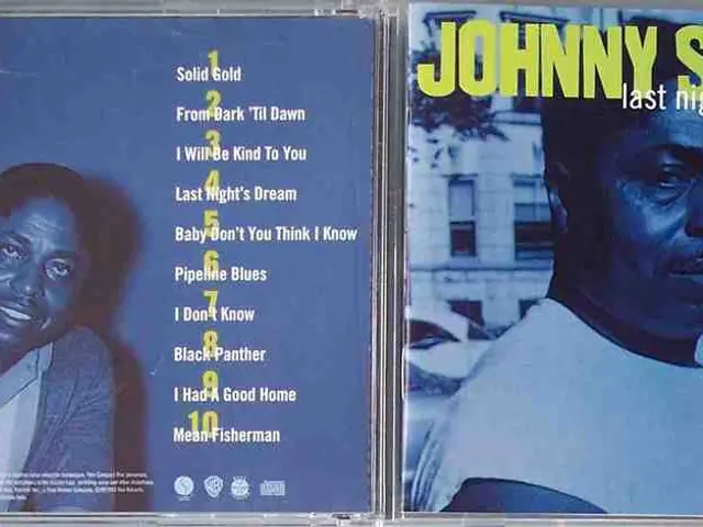 Top Methods for Transforming MP4 Videos into DVD Format on Windows PCs