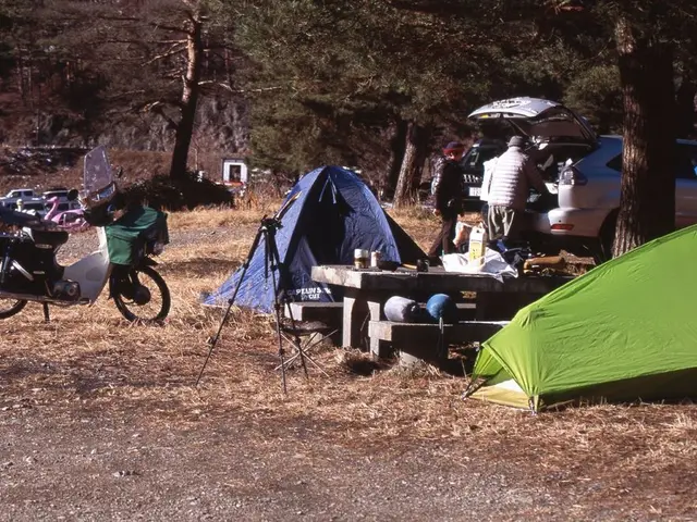 Television guide for Monday